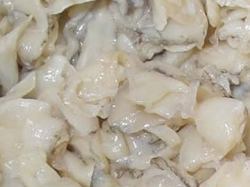 あわびに負けない美味しさ！ロコ貝